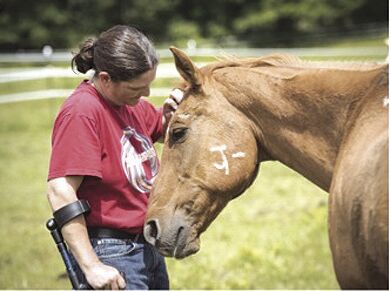 PTSD affects more than combat veterans, and causes vary